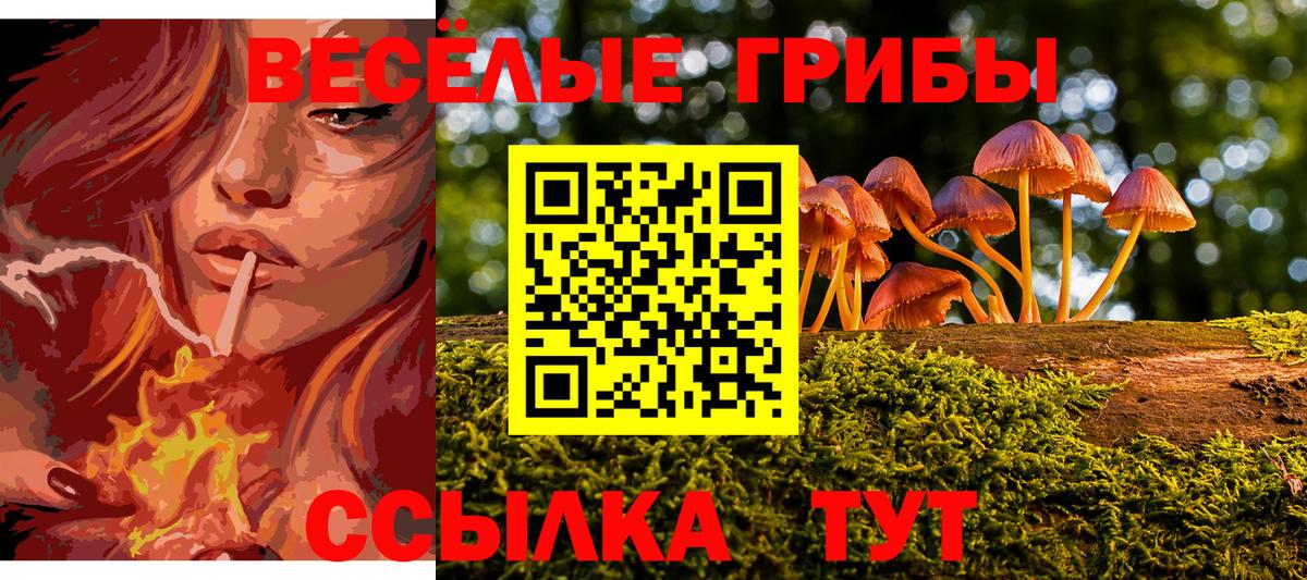 Городец  Псилоцибиновые грибы прущие грибы  Вход с VPN 